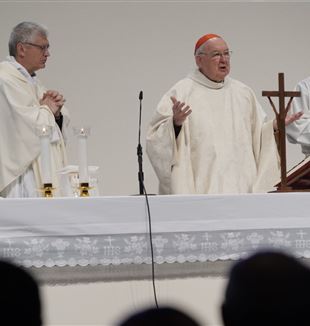 Il cardinale Kevin Joseph Farrell celebra la messa agli Esercizi della Fraternità di CL. Rimini, 15 aprile 2023 (Foto Roberto Masi/Fraternità CL)